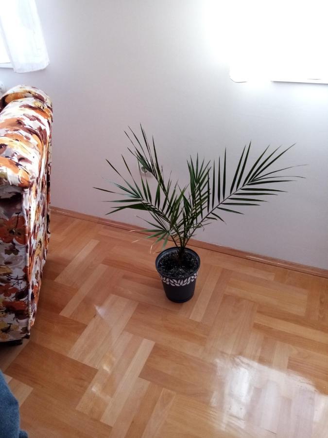 Apartman Maca Pirot Ngoại thất bức ảnh