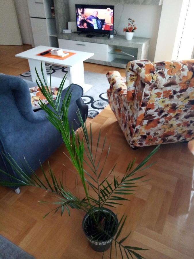 Apartman Maca Pirot Ngoại thất bức ảnh